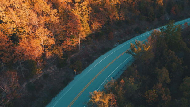 An aerial Fall Trees Wallpaper showing a winding road cutting through a forest with warm autumn foliage