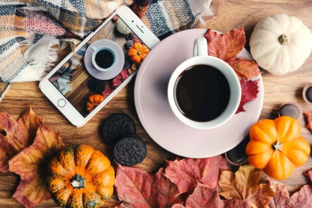 Cozy Fall Desktop Wallpaper showing a flat lay of coffee, a smartphone displaying a fall scene, small pumpkins, cookies, and autumn leaves