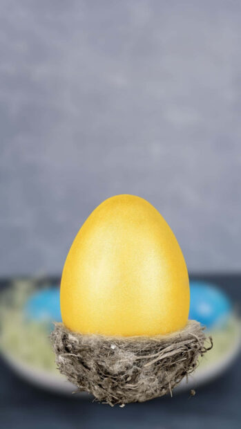 A golden Easter Egg Wallpaper beautifully placed in a rustic bird's nest, with a soft blurred background