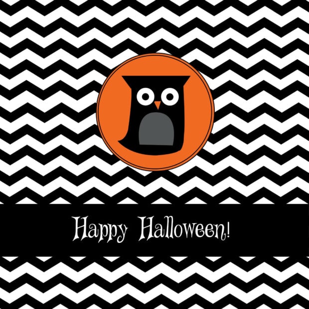 A cute Halloween iPad wallpaper with a black owl in an orange circle over a black and white chevron pattern