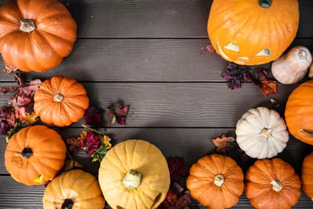 A rustic Halloween iPad wallpaper displaying a flat lay of diverse pumpkins and autumn leaves on a dark wooden background