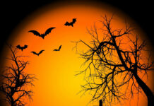 A classic spooky Halloween iPad wallpaper showcasing a full orange moon, silhouetted trees, bats, a graveyard, and glowing pumpkins