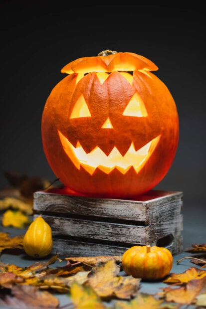 A vibrant Halloween Macbook Wallpaper showcasing a carved jack-o'-lantern glowing brightly on a wooden crate surrounded by autumn leaves and small gourds