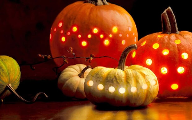 A beautiful Halloween Macbook Wallpaper showcasing real glowing pumpkins and gourds with intricate light patterns in a dark setting