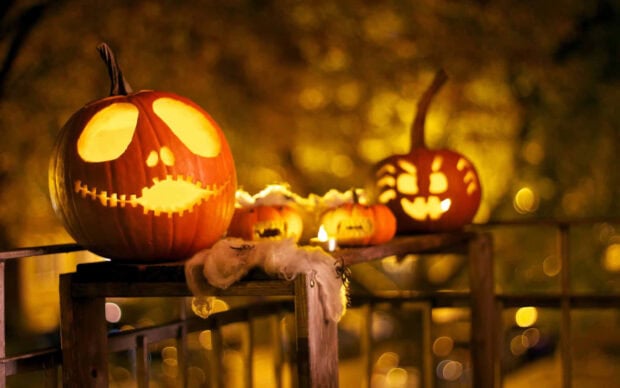 A warm Halloween Macbook wallpaper featuring multiple glowing carved pumpkins and spider web decorations on a railing