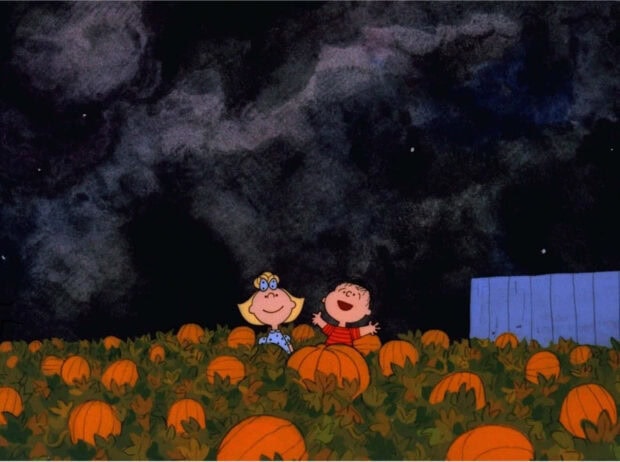 A classic Halloween Macbook Wallpaper featuring cartoon characters in a pumpkin patch under a dark, starry night sky