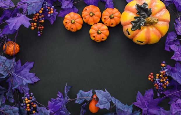 A vibrant Halloween pumpkin wallpaper showing decorative pumpkins with purple leaves and berries on a black flat lay background