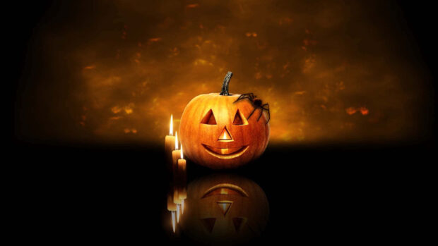 A vibrant Halloween Pumpkin Wallpaper showing a glowing jack-o'-lantern with a spider and candles, reflected on a dark surface