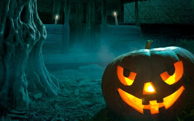 A large glowing Halloween pumpkin wallpaper with an eerie blue mist and gnarled tree trunk