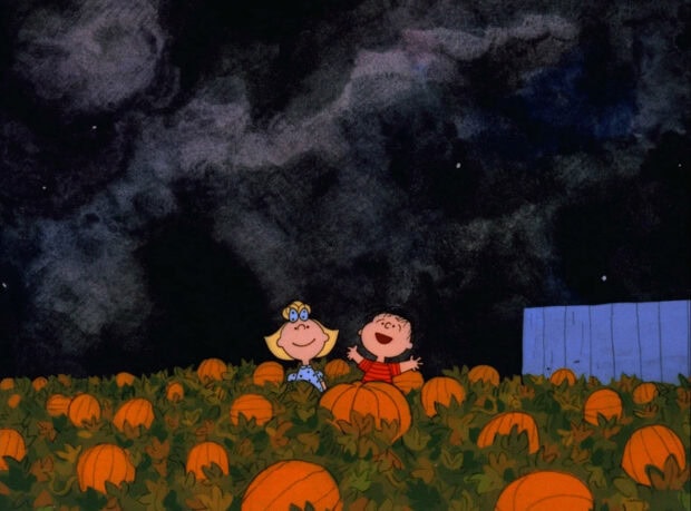 An animated Halloween Pumpkin Wallpaper scene from Peanuts featuring two characters in a pumpkin patch under a dark night sky