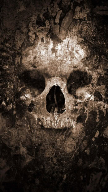 A dark Halloween Skeleton Wallpaper featuring an ancient, weathered skull with strong textures