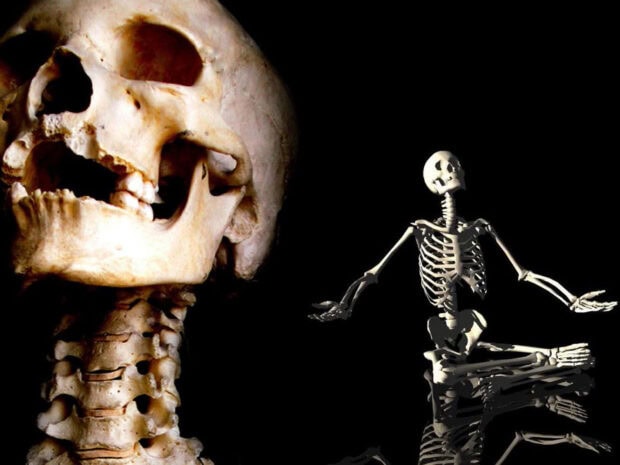 Halloween Skeleton Wallpaper featuring a large skull close-up and a smaller full skeleton figure kneeling on a reflective surface against a black background