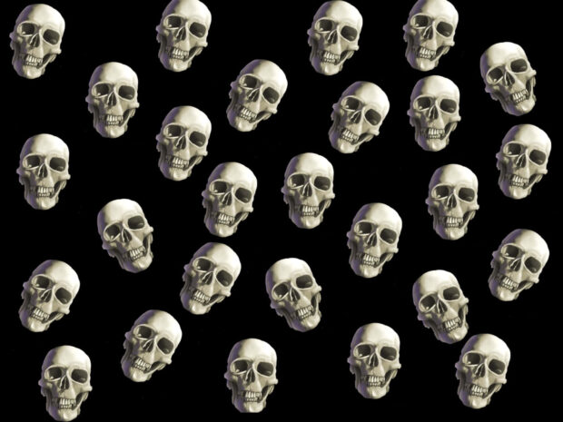 Halloween Skeleton Wallpaper showcasing a pattern of multiple white skulls against a solid black background