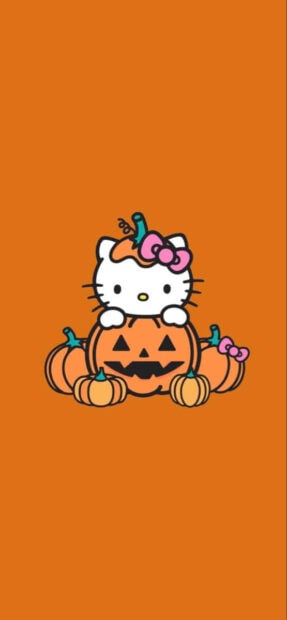 A cute Hello Kitty Fall Wallpaper featuring Hello Kitty sitting behind a large jack-o'-lantern surrounded by smaller pumpkins on an orange background