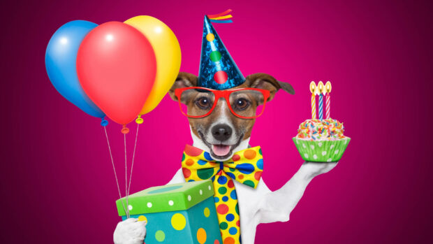 Its My Birthday Wallpaper featuring a cute dog in a party hat, holding colorful balloons and a birthday cupcake