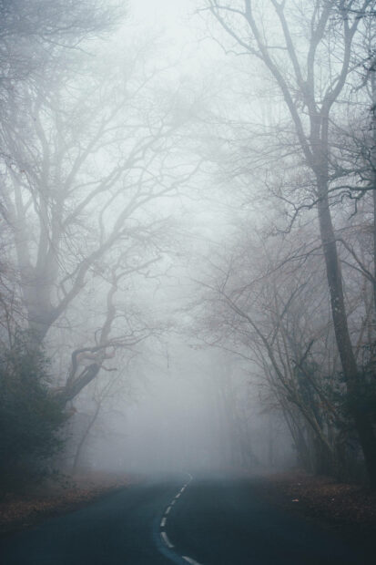 A hauntingly beautiful misty forest road with tall, bare trees creating an atmospheric Kawaii Halloween wallpaper