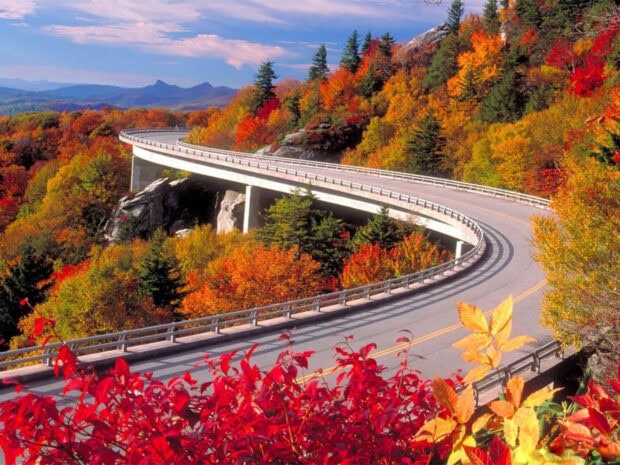 A breathtaking Fall Foliage Wallpaper showcasing a winding mountain highway surrounded by vibrant red, orange, and yellow autumn trees