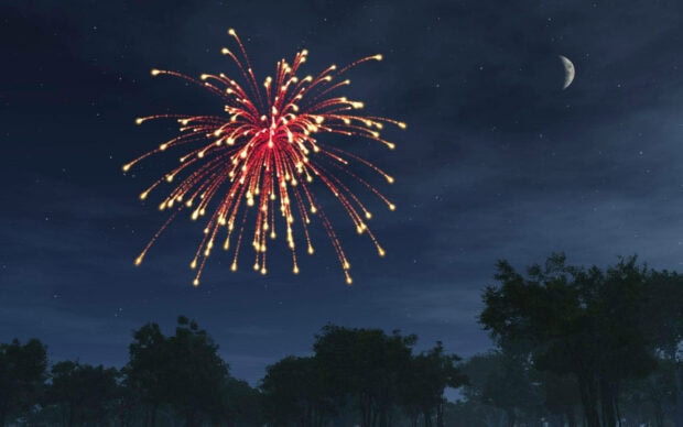 New Years Eve Wallpaper featuring vibrant fireworks exploding in a dark night sky with a crescent moon and tree silhouettes