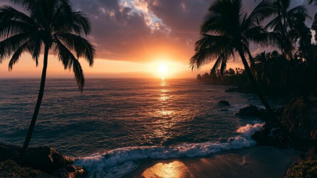 A beautiful Ocean Wallpaper showcasing a tropical sunset over calm waters, framed by silhouetted palm trees on a beach