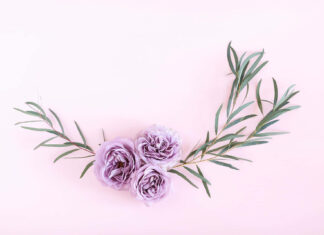 A minimalist pastel summer wallpaper showcasing three elegant purple roses framed by green eucalyptus leaves on a soft pink background