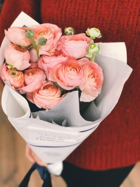 A beautiful Birthday Wallpaper featuring a bouquet of delicate pink ranunculus flowers held by a person in a red sweater