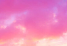 A vibrant pink summer wallpaper featuring a stunning pink and purple sunset over the ocean with gentle waves