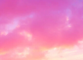 A vibrant pink summer wallpaper featuring a stunning pink and purple sunset over the ocean with gentle waves
