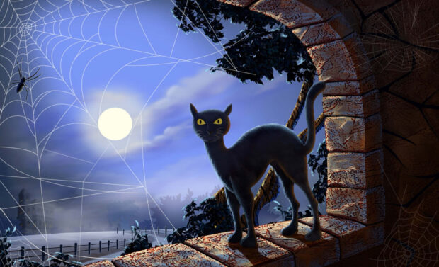 Preppy Halloween Wallpaper depicting a black cat on a stone ledge with spiderwebs and a full moon