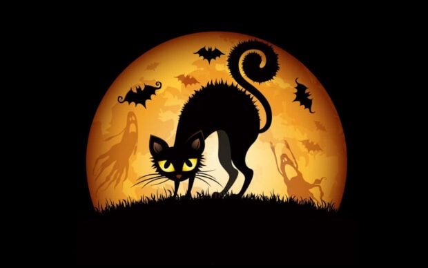 An iconic preppy Halloween wallpaper featuring a black cat with an arched back against a large orange full moon with bats