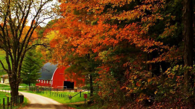 A rustic fall landscape wallpaper featuring a charming red barn nestled among autumn trees and a winding country road