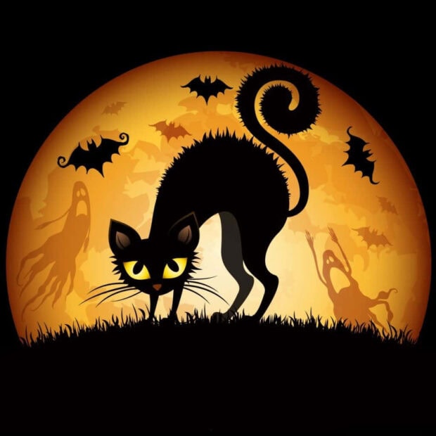 A 3D Halloween Wallpaper featuring a scary black cat silhouetted against a full moon with bats and ghosts flying around