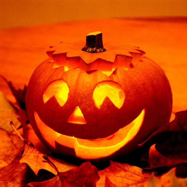 A close-up Halloween Ipad Wallpaper of a single glowing jack-o'-lantern surrounded by autumn leaves