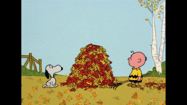 An iconic Snoopy Fall Wallpaper showing Snoopy watching Charlie Brown next to a huge pile of colorful autumn leaves under a clear sky