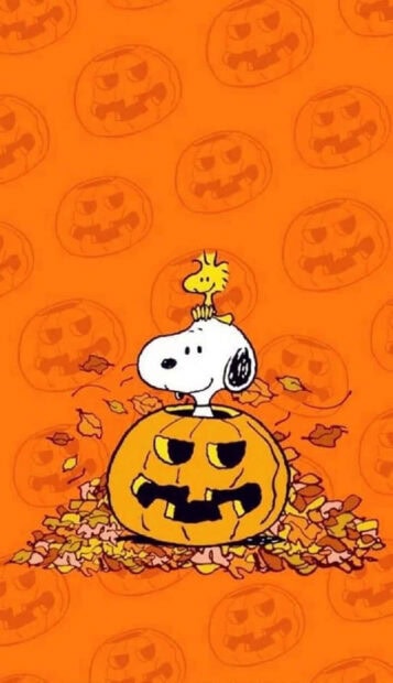 A vibrant Snoopy Fall Wallpaper showing Snoopy and Woodstock on a carved pumpkin surrounded by autumn leaves against an orange background with pumpkin patterns