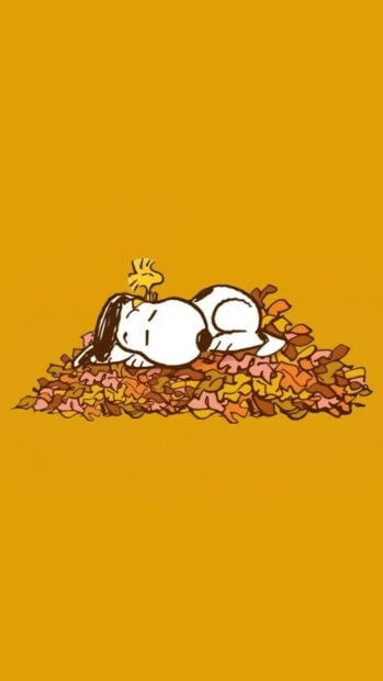 A cute Snoopy fall wallpaper featuring Snoopy and Woodstock sleeping peacefully on a colorful pile of autumn leaves against a warm orange background