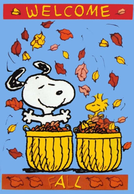 A delightful Snoopy Fall Wallpaper featuring Snoopy and Woodstock playing in two buckets filled with colorful autumn leaves