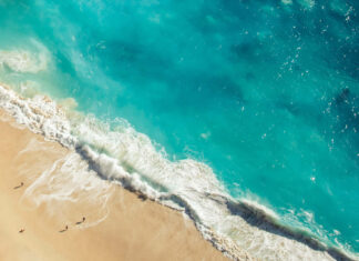 An aerial Summertime Wallpaper 2026 showcasing turquoise ocean waves crashing onto a golden sandy beach