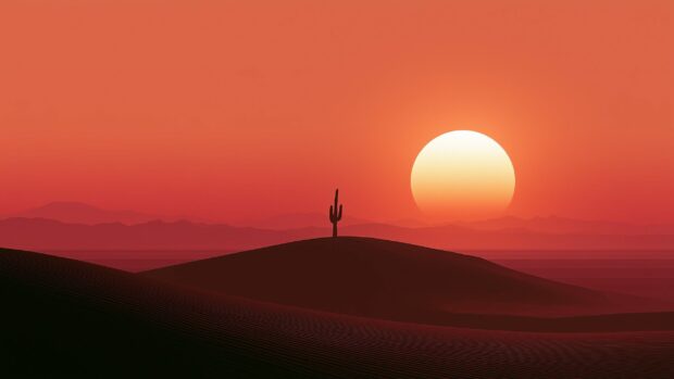 A minimalist sunset wallpaper featuring a lone saguaro cactus silhouette on a sand dune under a large orange sun in a red desert sky