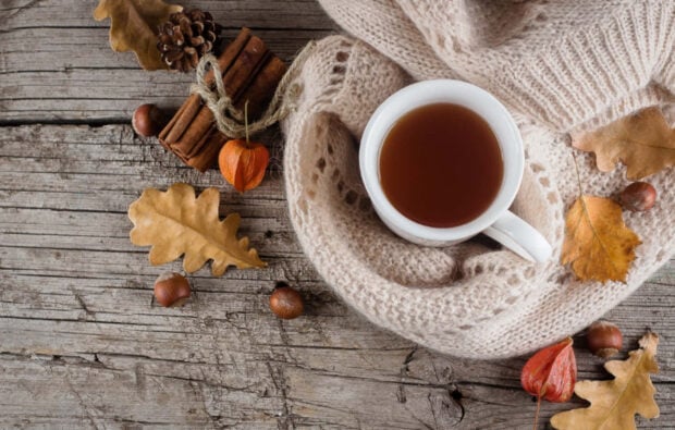 Cozy Fall Desktop Wallpaper featuring a cup of tea on a knitted blanket, surrounded by cinnamon sticks, hazelnuts, and dried leaves