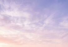 An aesthetic purple wallpaper displays a breathtaking lavender field stretching under a soft sunset sky. The picture captures the tranquil beauty of nature with rolling hills in the background