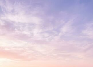An aesthetic purple wallpaper displays a breathtaking lavender field stretching under a soft sunset sky. The picture captures the tranquil beauty of nature with rolling hills in the background