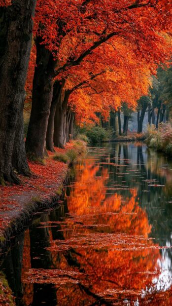 Autumn wallpaper showcasing a tranquil canal lined with trees boasting vibrant red foliage and clear reflections