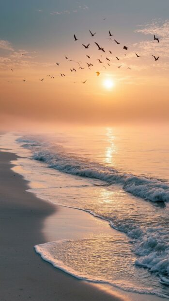 A serene beach wallpaper showing a misty sunrise over the ocean with a flock of birds flying, perfect for mobile