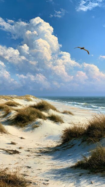 A serene Beach Wallpaper showcasing sandy dunes covered with dry grass, a calm ocean, and a bird flying under a bright blue sky with large clouds