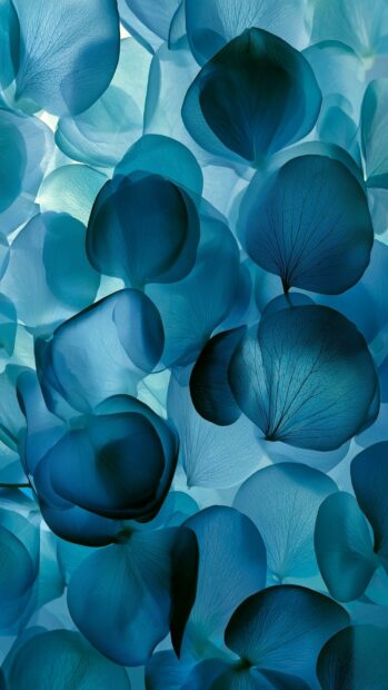 Blue aesthetic wallpaper featuring a close-up of translucent blue flower petals with soft lighting