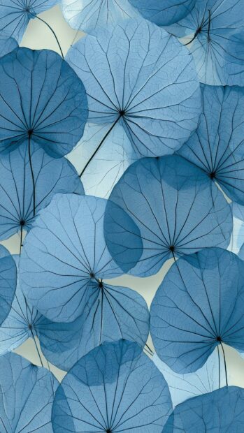 Blue Aesthetic Wallpaper featuring a delicate pattern of transparent blue skeleton leaves with visible vein details