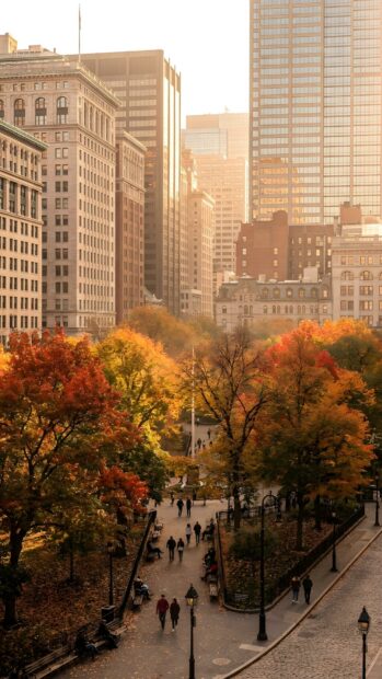 A vibrant city wallpaper showcasing an autumn park with colorful trees and people walking, set against a backdrop of tall urban buildings