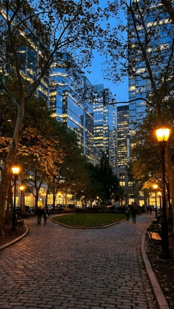 A beautiful city wallpaper showing a park with a cobblestone path and bright street lights surrounded by modern buildings at dusk