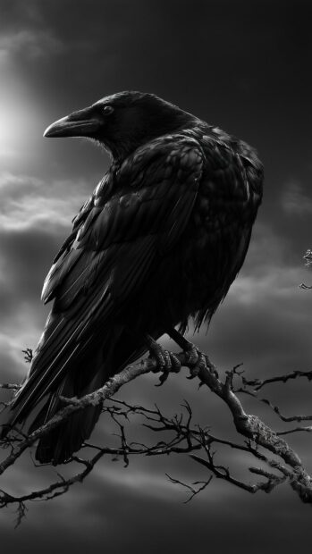 Dark aesthetic wallpaper featuring a majestic black raven perched on a bare branch against a stormy, monochrome sky