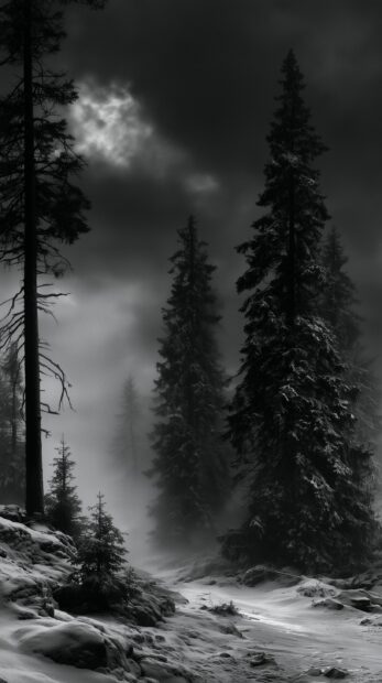 Dark wallpaper featuring a gloomy black and white snowy forest with tall pine trees and heavy fog